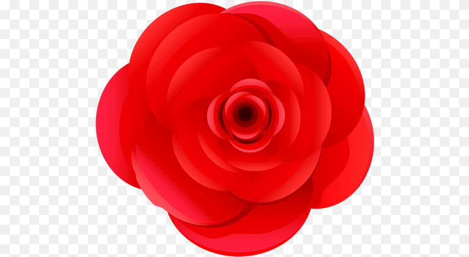 Japanese Camellia, Flower, Plant, Rose Free Png