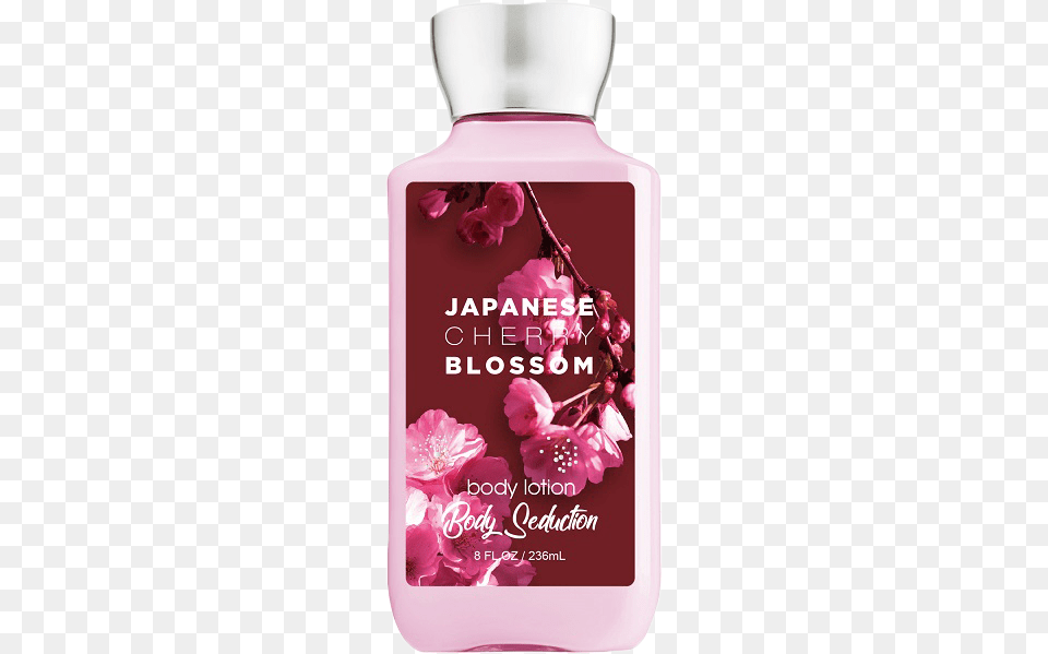 Japanese Cherry Bloom Body Seduction, Flower, Petal, Plant, Bottle Free Transparent Png