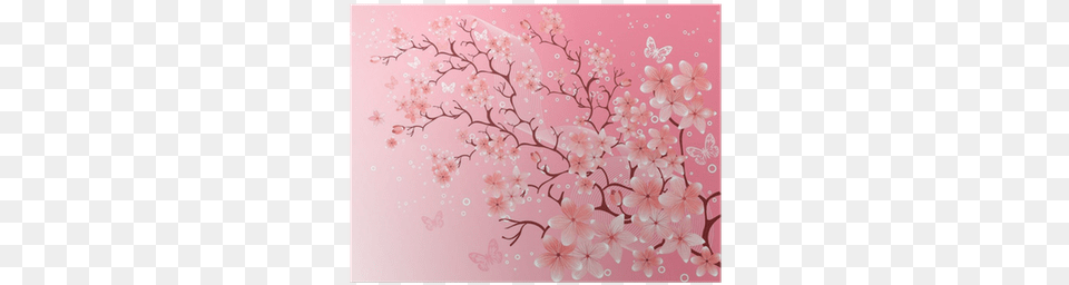 Japanese Cherry Blossom, Flower, Plant, Cherry Blossom, White Board Png