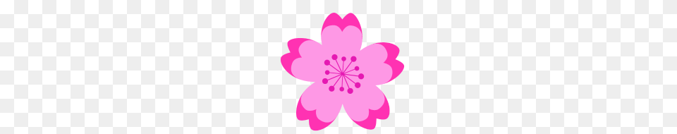 Japanese Cherry Blossom, Flower, Petal, Plant, Anther Free Png Download