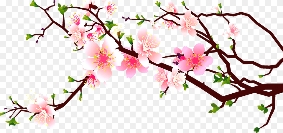 Japanese Cherry Blossom Clip Black And White, Flower, Plant, Cherry Blossom Png Image