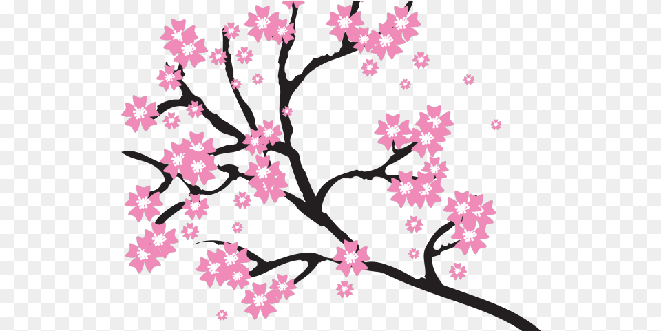Japanese Cherry Blossom Clipart, Flower, Plant, Cherry Blossom, Pattern Free Png