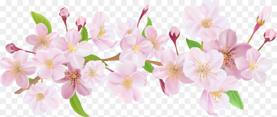 Japanese Cherry Blossom Transparent Transparent Cherry Blossom Flower Crown Free Png Download