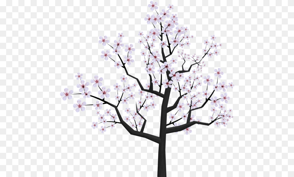 Japanese Cherry Blossom Tree Cherry Blossom Tree Cartoon, Flower, Plant, Cherry Blossom Free Png