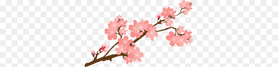 Japanese Cherry Tree Sticker, Flower, Plant, Cherry Blossom Free Png