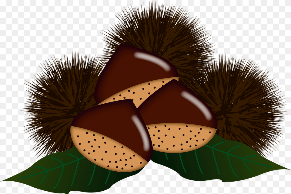 Japanese Chestnuts Clipart, Food, Nut, Plant, Produce Free Png