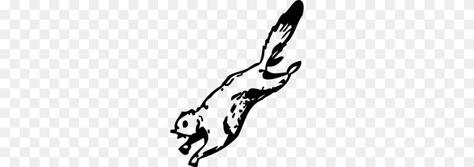 Japanese Dwarf Flying Squirrel Flight Sugar Glider, Gray Png Image