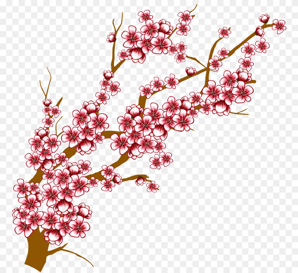 Japanese Flowering Cherry Transparent Background Drawing Cherry Blossom Tree, Flower, Plant, Cherry Blossom, Food Free Png