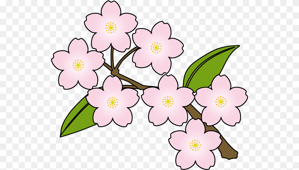 Japanese Flowers Clipart Sakura Flowers Clip Art, Flower, Plant, Anemone, Cherry Blossom Png Image