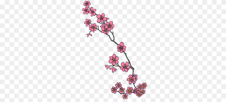 Japanese Flowers Tattoo, Flower, Plant, Pattern, Cherry Blossom Free Png
