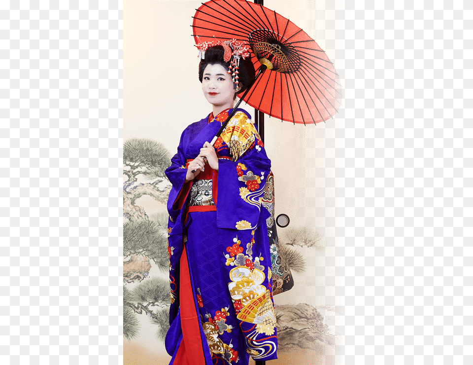 Japanese Geisha, Adult, Wedding, Robe, Person Png