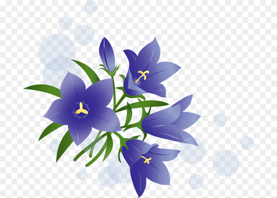 Japanese Gentian Flower Clipart Tulipa Humilis, Art, Graphics, Plant, Iris Free Png Download