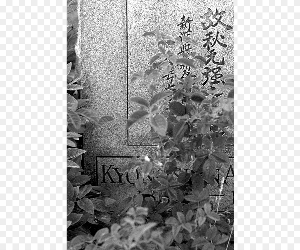 Japanese Headstone Monochrome, Tomb, Architecture, Building, Wall Free Png Download