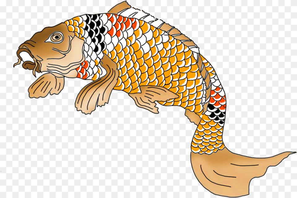 Japanese Koi Fish Orange Red Black White Draw Green Fish, Animal, Carp, Sea Life, Mammal Free Transparent Png