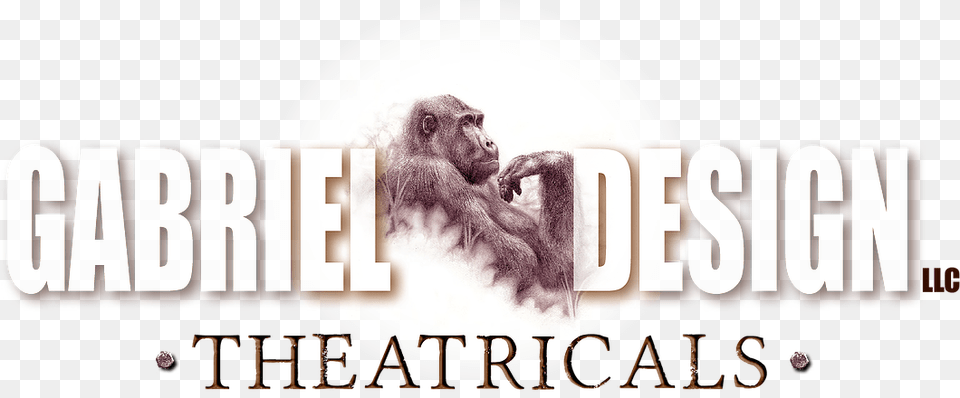 Japanese Macaque, Animal, Ape, Mammal, Wildlife Free Png