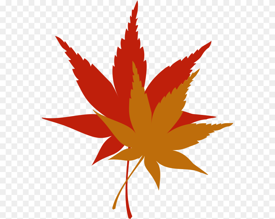 Japanese Maple Leaf Free Clip, Plant, Tree, Person, Maple Leaf Png