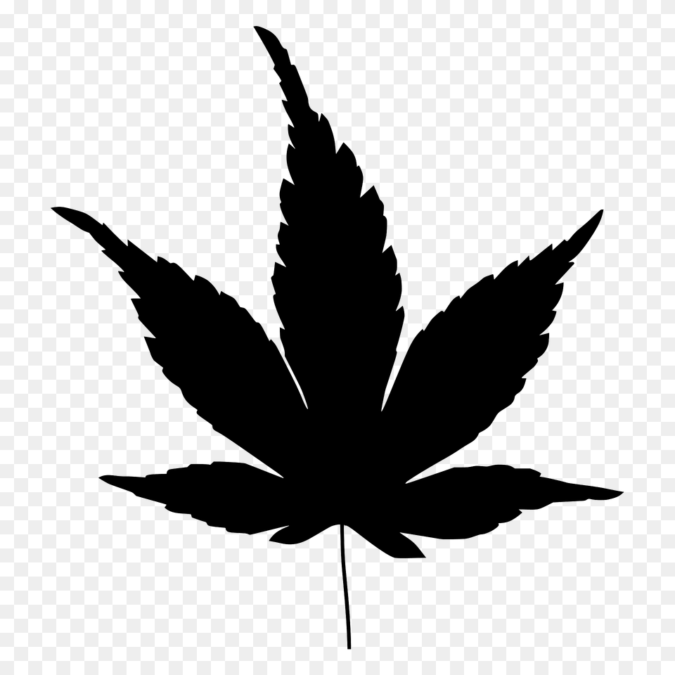 Japanese Maple Leaf Silhouette, Plant, Animal, Bird, Weed Free Transparent Png