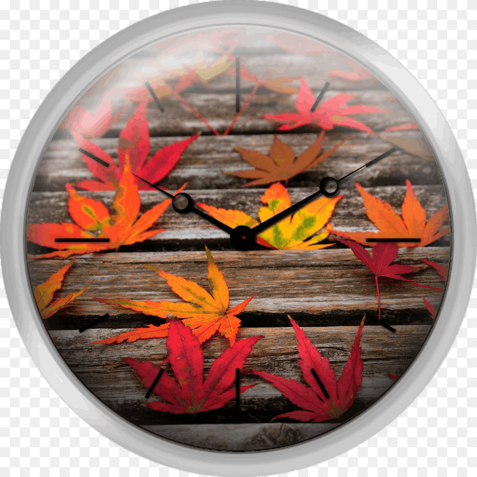 Japanese Maple Leaves Wall Clock, Leaf, Plant, Tree, Photography Free Transparent Png