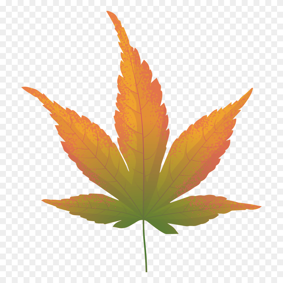 Japanese Maple Yellow Leaf Clipart, Plant, Tree, Maple Leaf Free Transparent Png