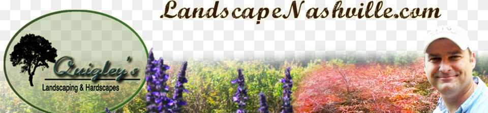 Japanese Maples Nashville Lavender, Adult, Vegetation, Plant, Photography Free Png Download