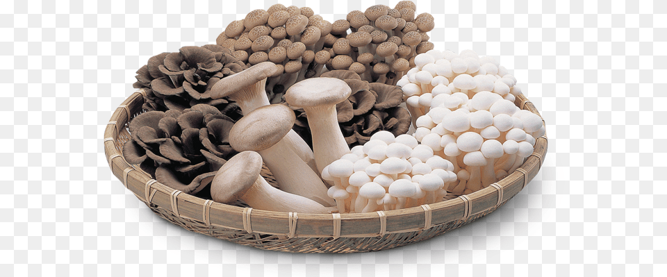 Japanese Mushrooms Vegetables Mushrooms, Fungus, Plant, Basket, Mushroom Png Image