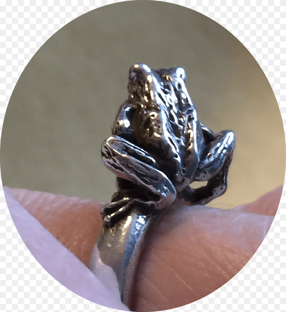 Japanese Rain Frog Ring Alligator, Accessories, Jewelry, Animal, Wildlife Free Png