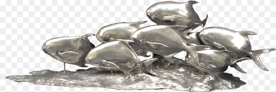 Japanese Rhinoceros Beetle, Silver, Animal, Fish, Sea Life Free Png