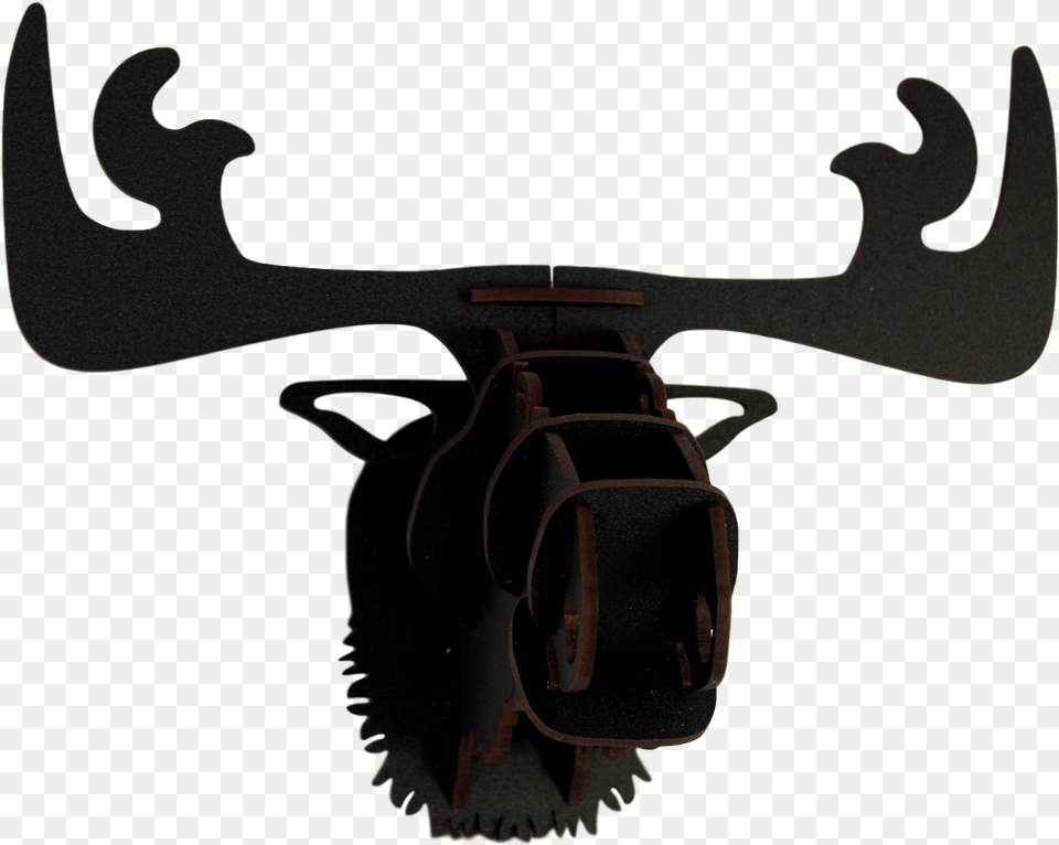 Japanese Rhinoceros Beetle Png Image