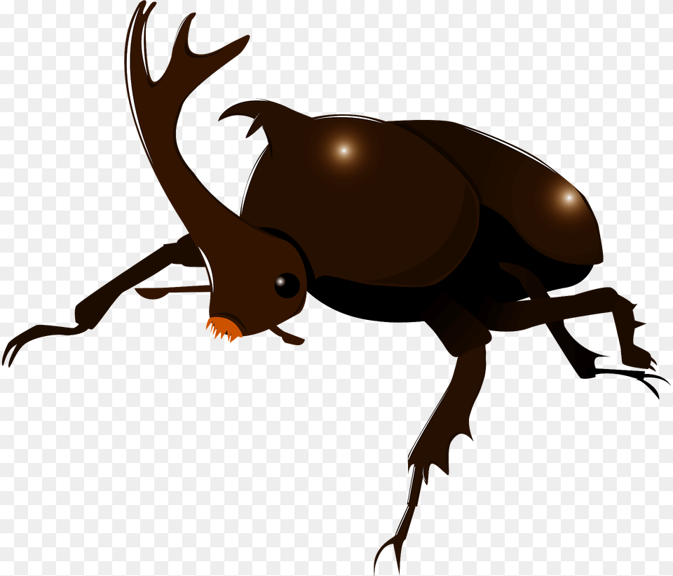 Japanese Rhinoceros Beetle Clipart, Animal, Kangaroo, Mammal Free Transparent Png