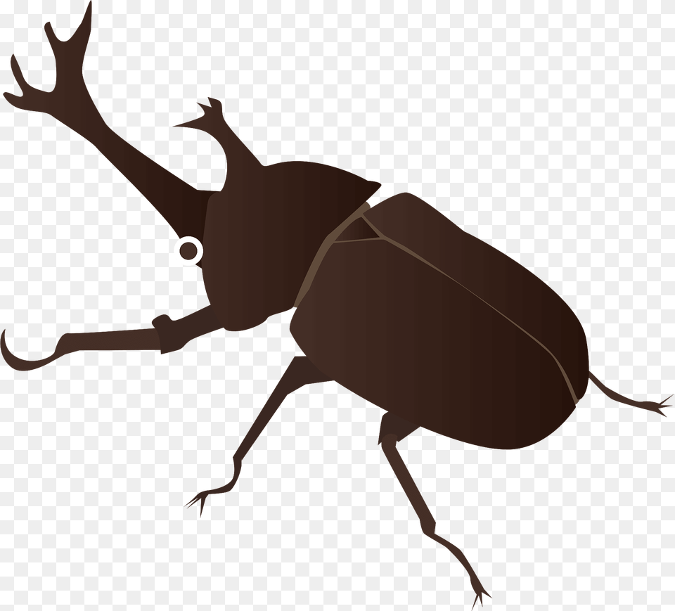 Japanese Rhinoceros Beetle Clipart, Animal, Kangaroo, Mammal, Dung Beetle Png Image