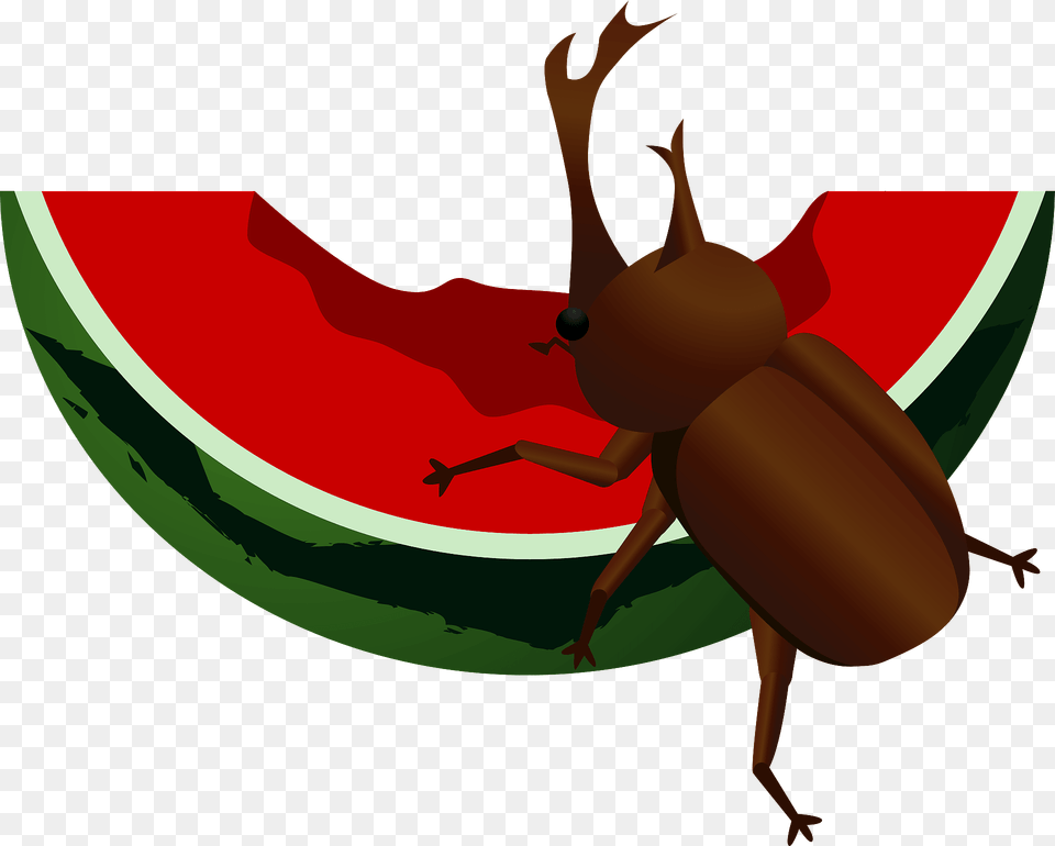 Japanese Rhinoceros Beetle Crawling On Watermelon Clipart, Food, Fruit, Plant, Produce Free Png Download