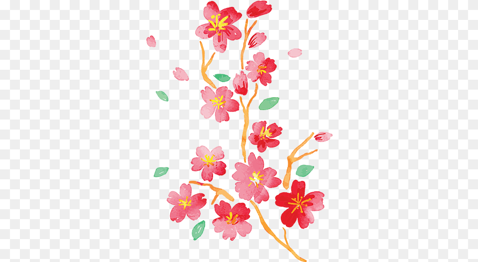 Japanese Spring Flower Wall Decal Ramas Flores Japonesas, Pattern, Plant, Hibiscus Free Png Download