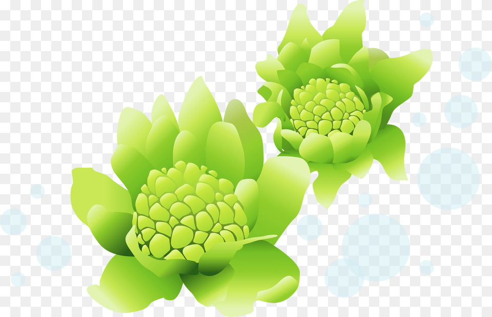 Japanese Sweet Coltsfoot Clipart, Art, Floral Design, Graphics, Green Free Png