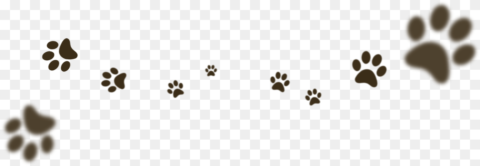 Japanese Terrier Free Transparent Png