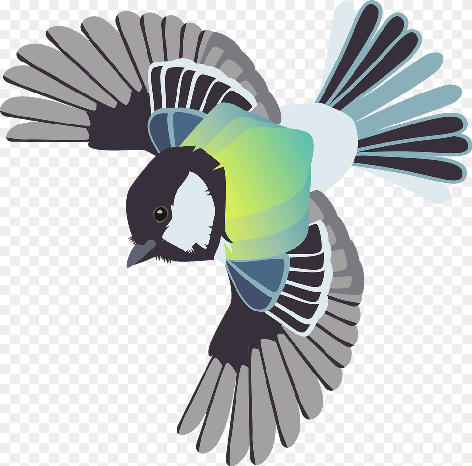 Japanese Tit Bird Clipart, Animal, Jay, Flying Free Transparent Png
