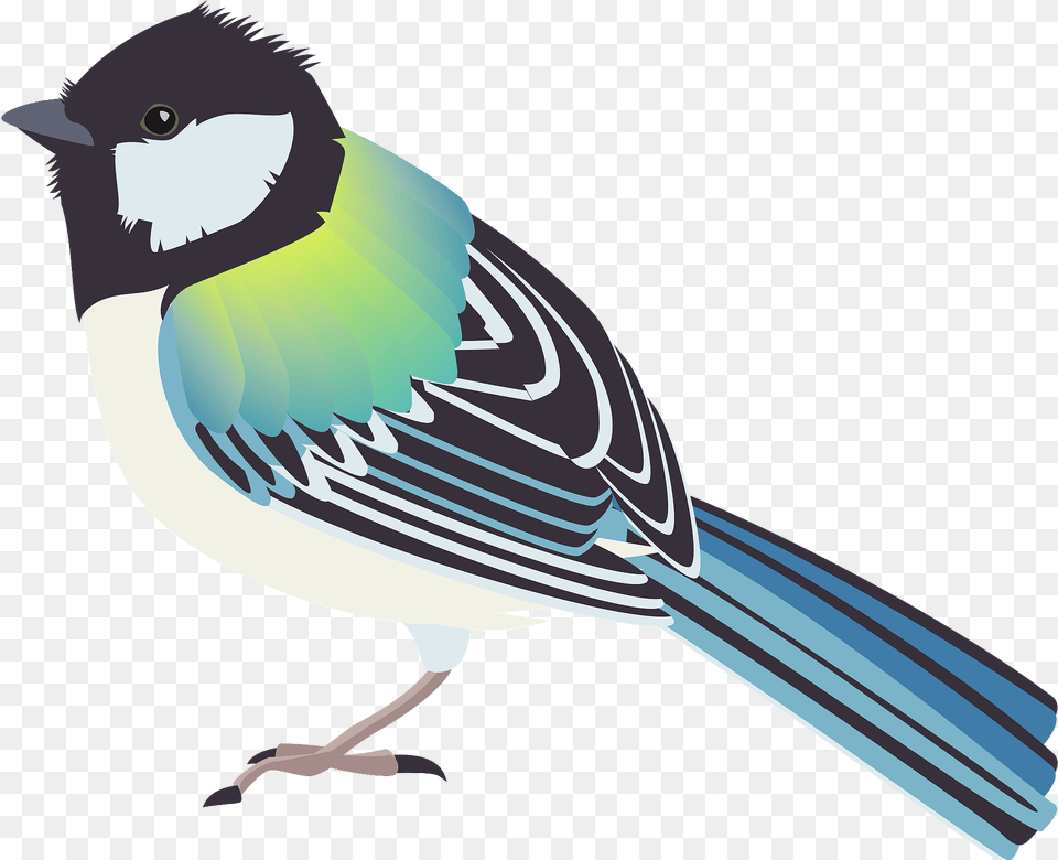 Japanese Tit Bird Clipart, Animal, Jay, Fish, Sea Life Png Image