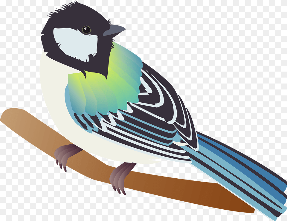 Japanese Tit Bird On A Branch Clipart, Animal, Finch, Jay, Fish Png Image