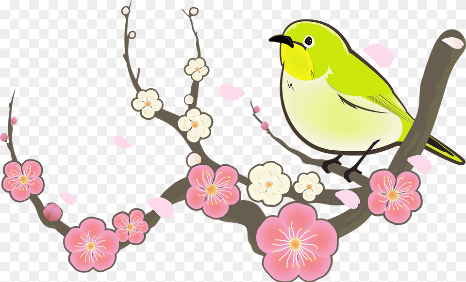 Japanese White Eye Apricot Clipart, Animal, Bird, Flower, Plant Free Png