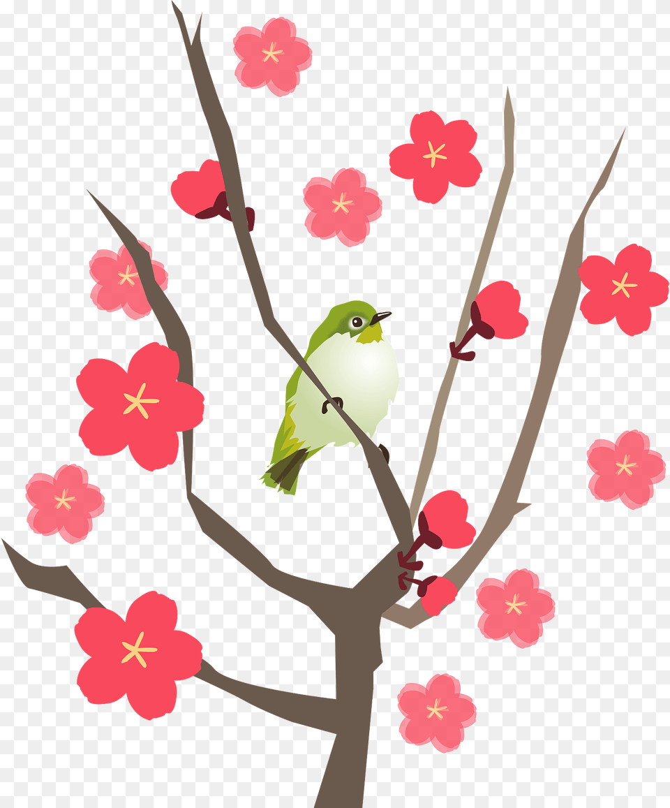 Japanese White Eye Apricot Clipart, Animal, Bird, Finch, Flower Png