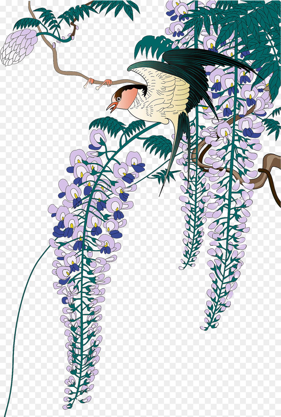 Japanese Wisteria And Bird Clipart Sketch, Art, Flower, Plant, Pattern Free Png Download