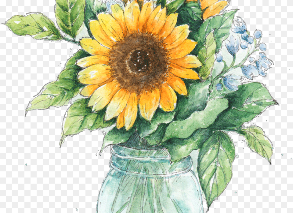 Jar Drawing Ubisafe Sunflower In Mason Jar, Flower, Plant, Flower Arrangement, Flower Bouquet Png Image