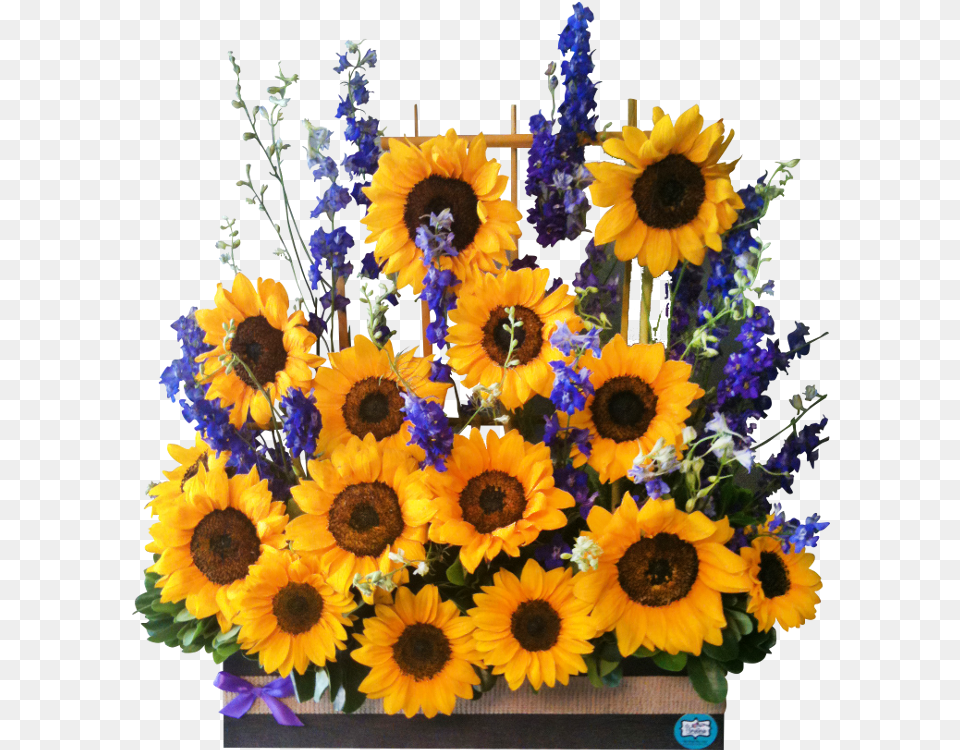 Jardn De Girasoles Bouquet, Flower, Flower Arrangement, Flower Bouquet, Plant Png
