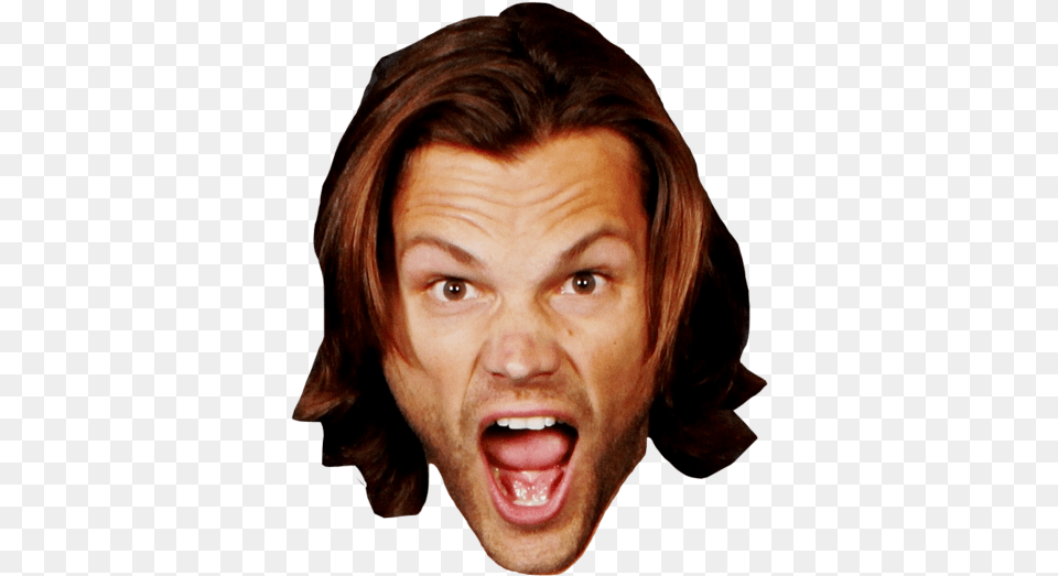 Jared Padalecki Face, Adult, Portrait, Photography, Person Free Png Download