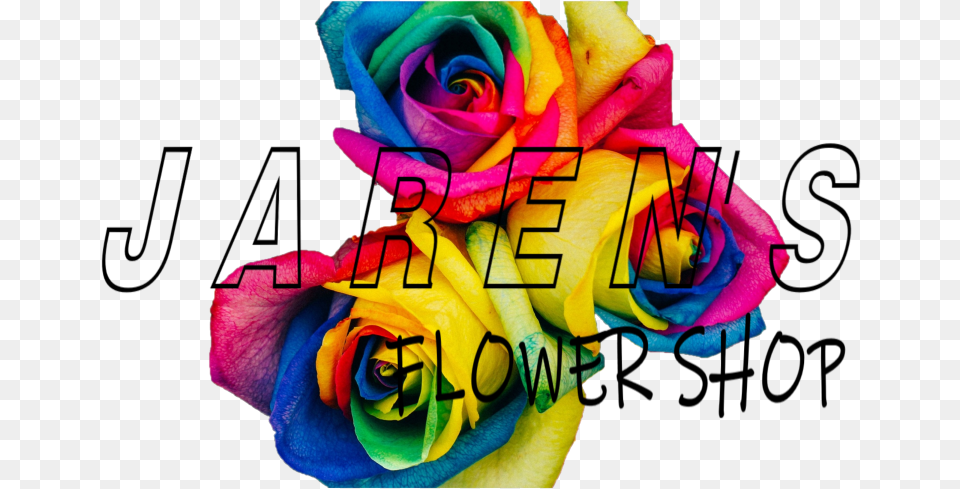 Jaren S Flower Shop Floribunda, Plant, Rose, Flower Arrangement, Flower Bouquet Png