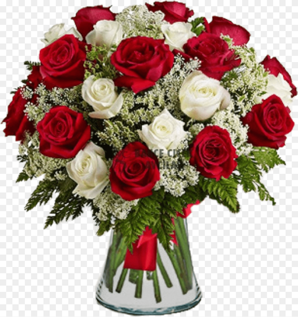 Jarrn De Rosas Rojas Y Blancas Red Roses And White Flowers, Art, Floral Design, Flower, Flower Arrangement Free Png