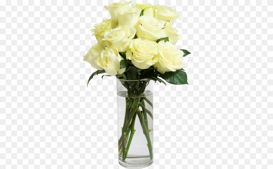 Jarron De Rosas Blancas, Flower, Flower Arrangement, Flower Bouquet, Plant Png