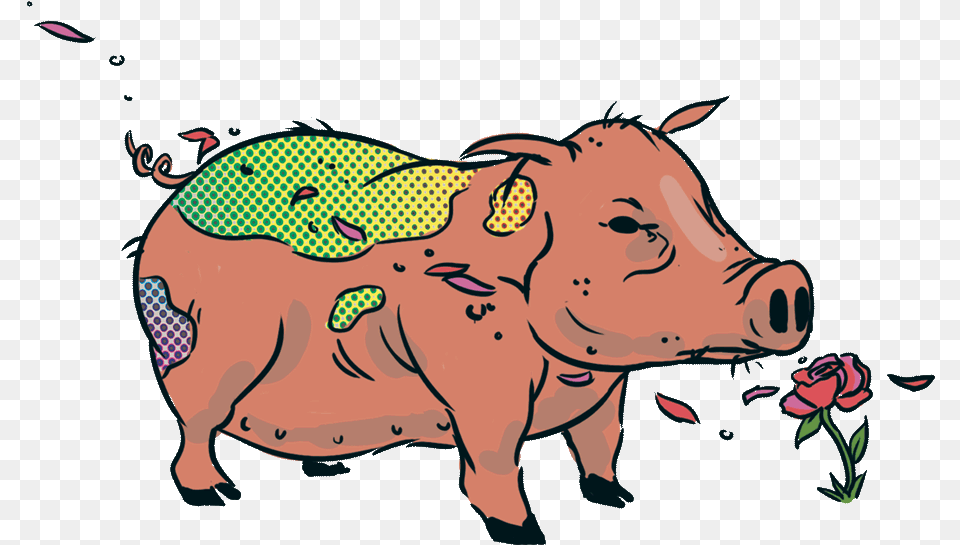 Jarrybriefs Vegan Pig Domestic Pig, Animal, Hog, Mammal, Baby Png