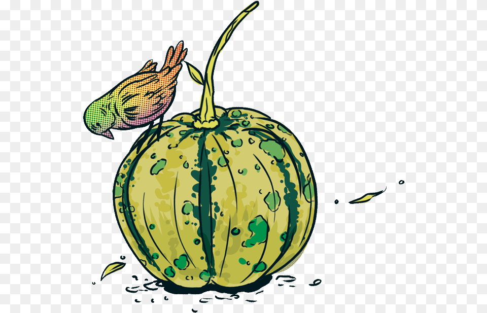 Jarrybriefs Vegan Pumpkin Illustration, Food, Produce, Fruit, Plant Png
