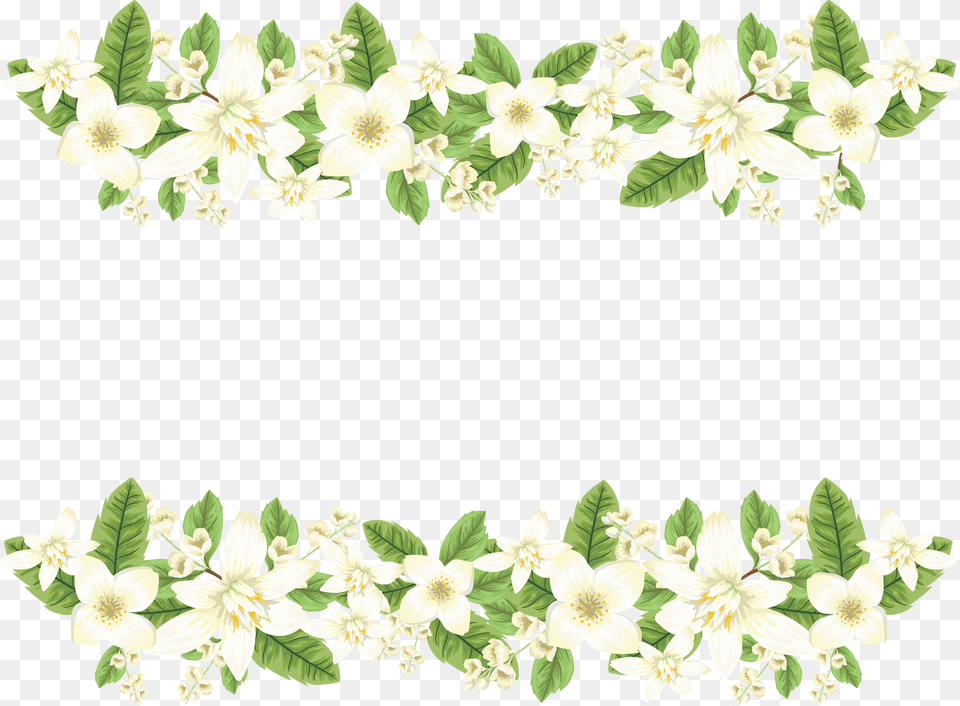 Jasmine, Art, Floral Design, Graphics, Leaf Png Image