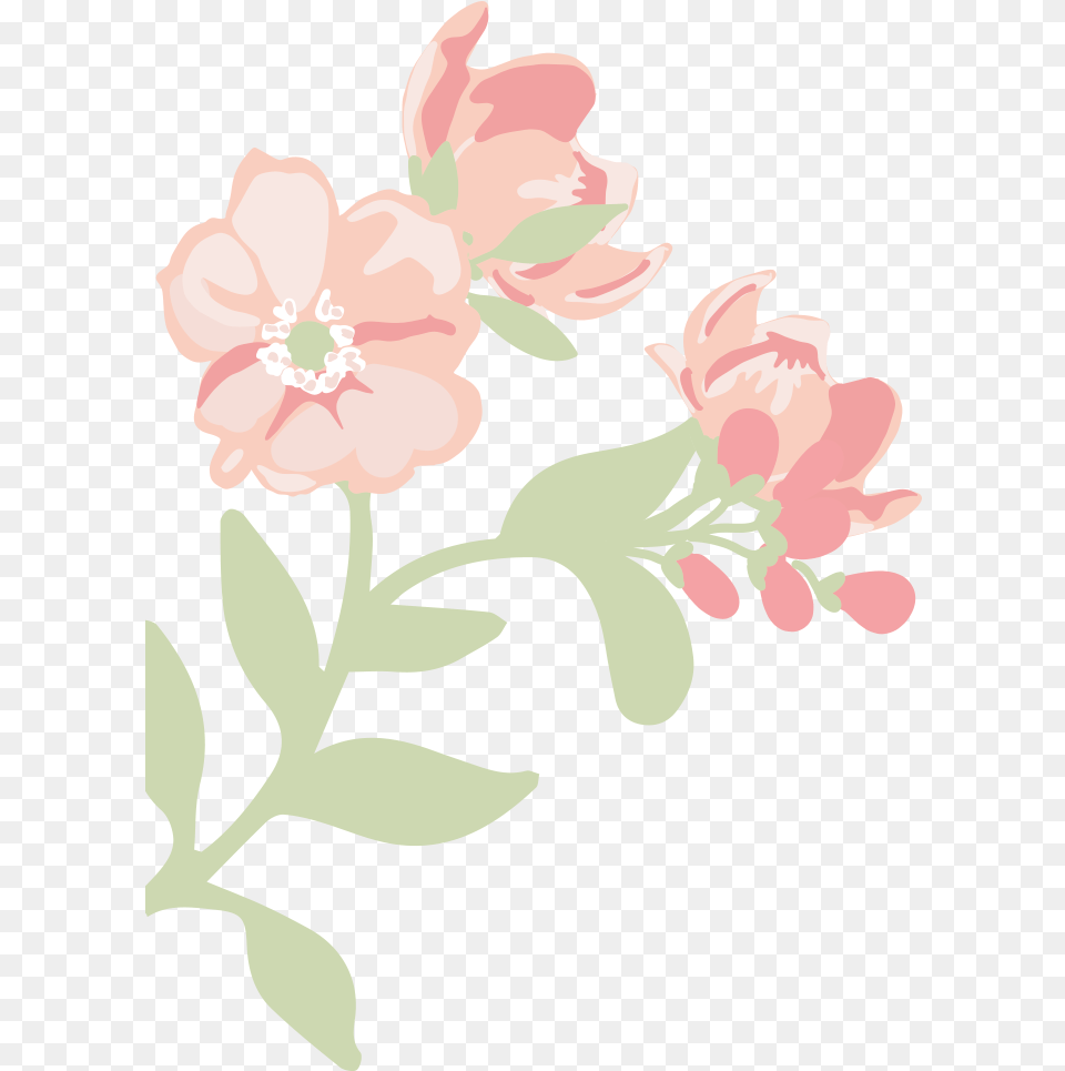 Jasmine, Art, Pattern, Graphics, Floral Design Png Image